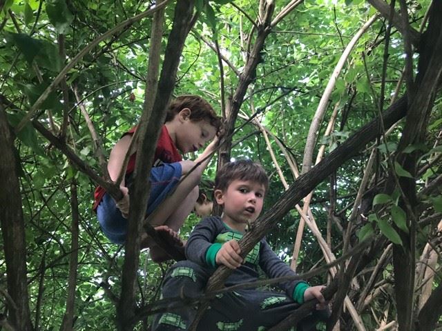 Grandson James and friend up in the trees